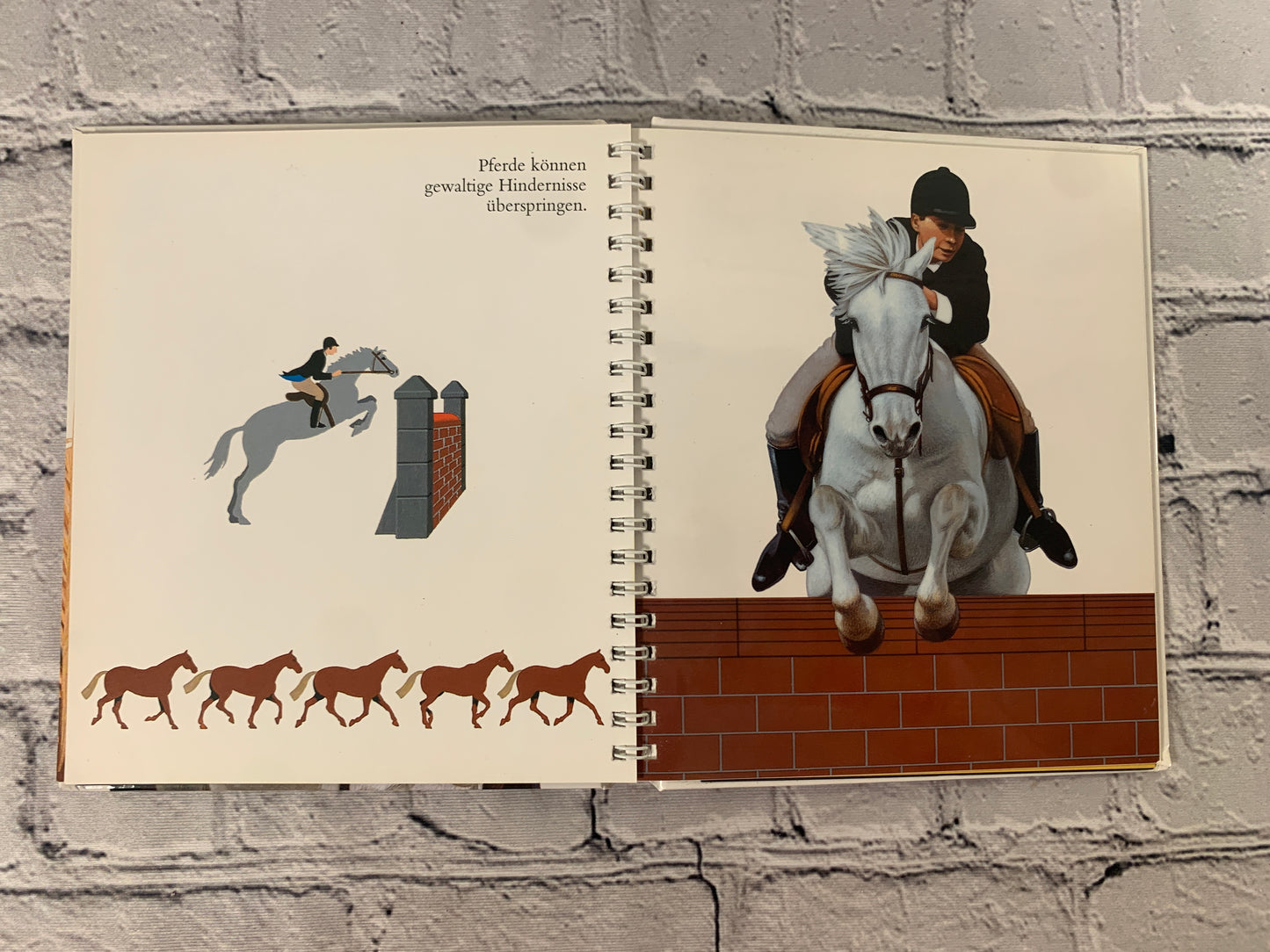 Das Pferd (The Horse)