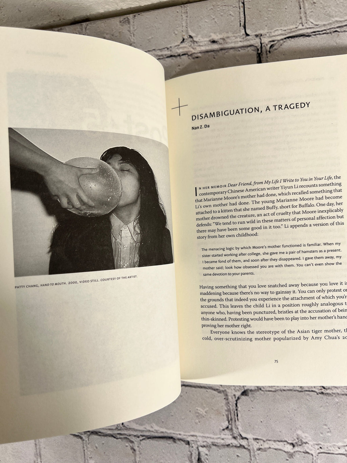 n+1 Magazine Issue 38 Fall 2020 Death Wish