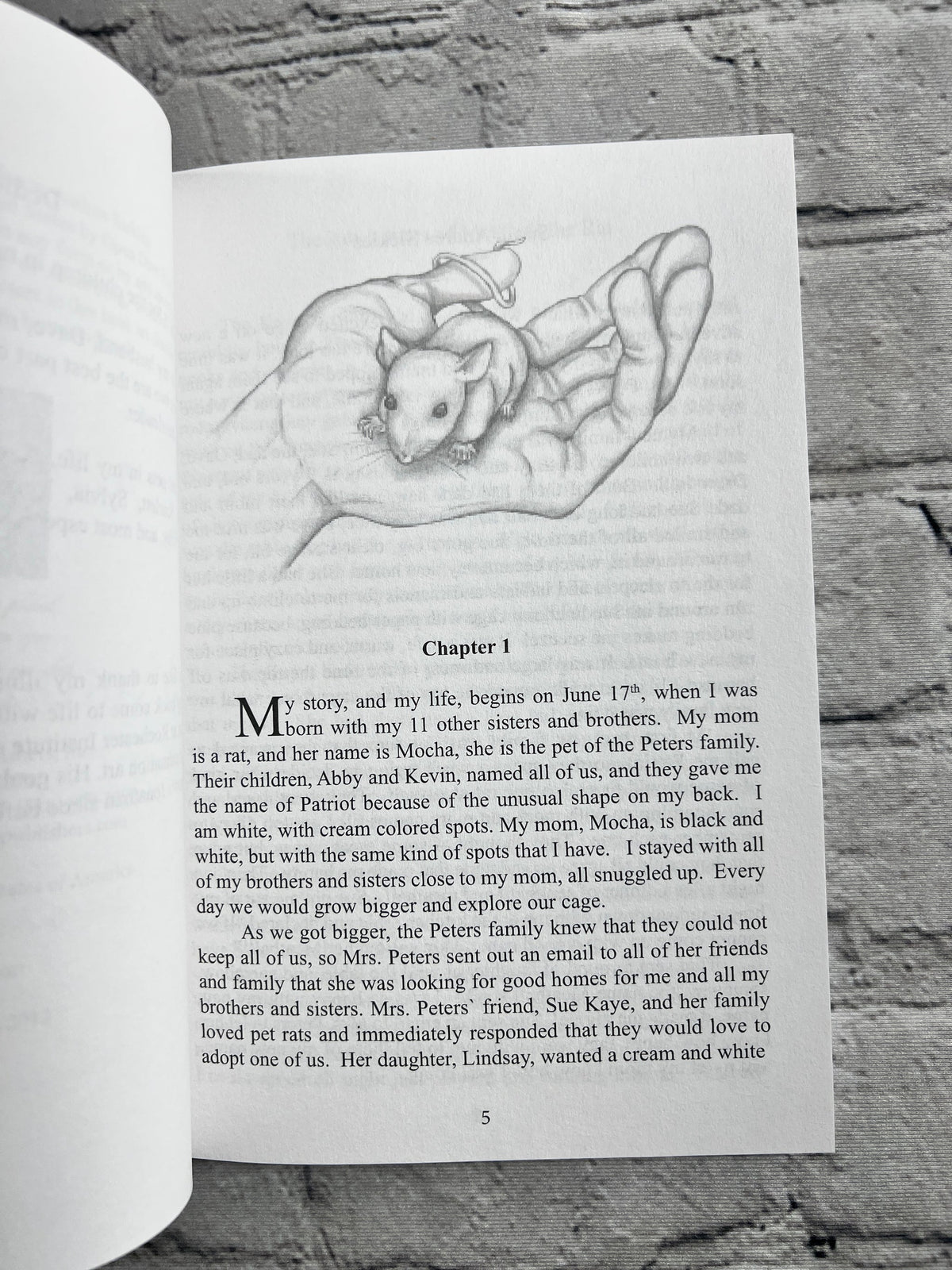 The Adventures of Meatball the Rat by Susan Andrea Sickles, 2012 Open Door Publishers paperback - Chapter 1 opening with illustration