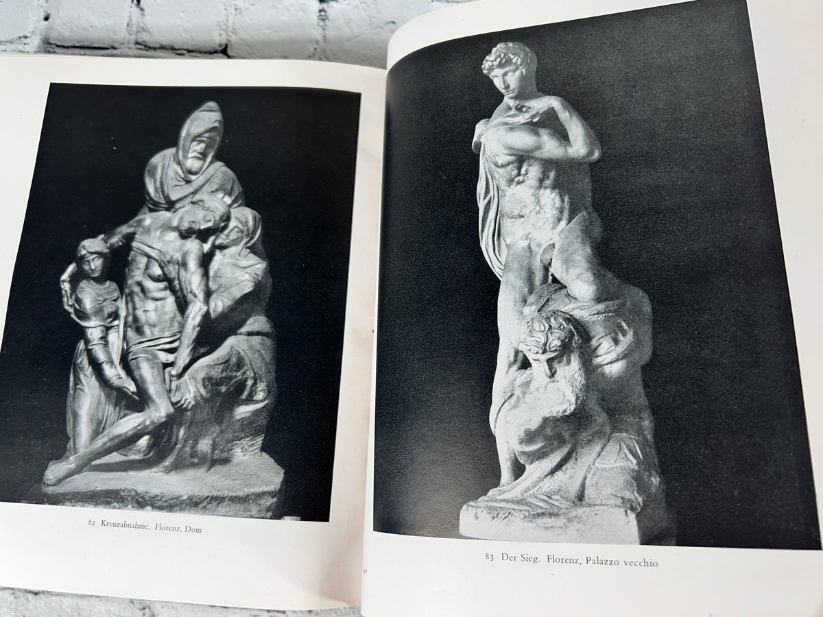 Michelangelo by Herman Grimm, 1949 - illustrated plates