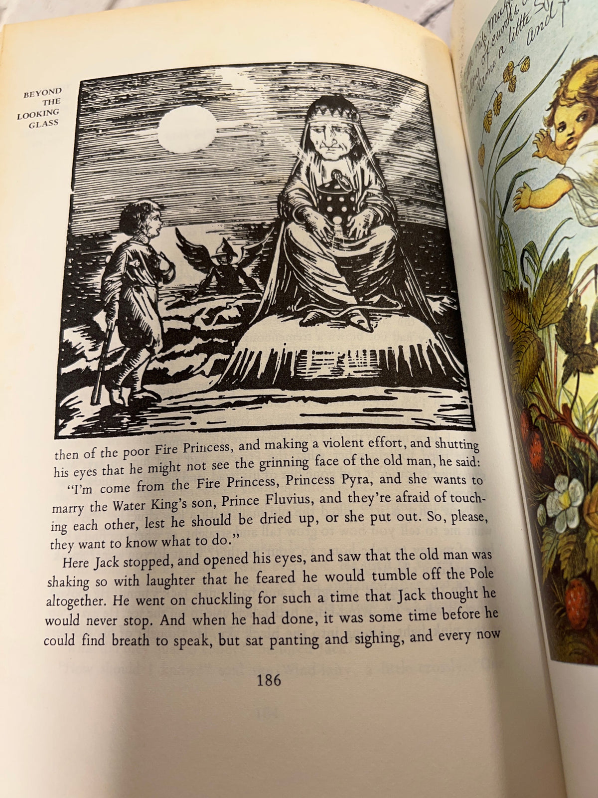Beyond the Looking Glass: Extraordinary Works of Fairy Tale and Fantasy