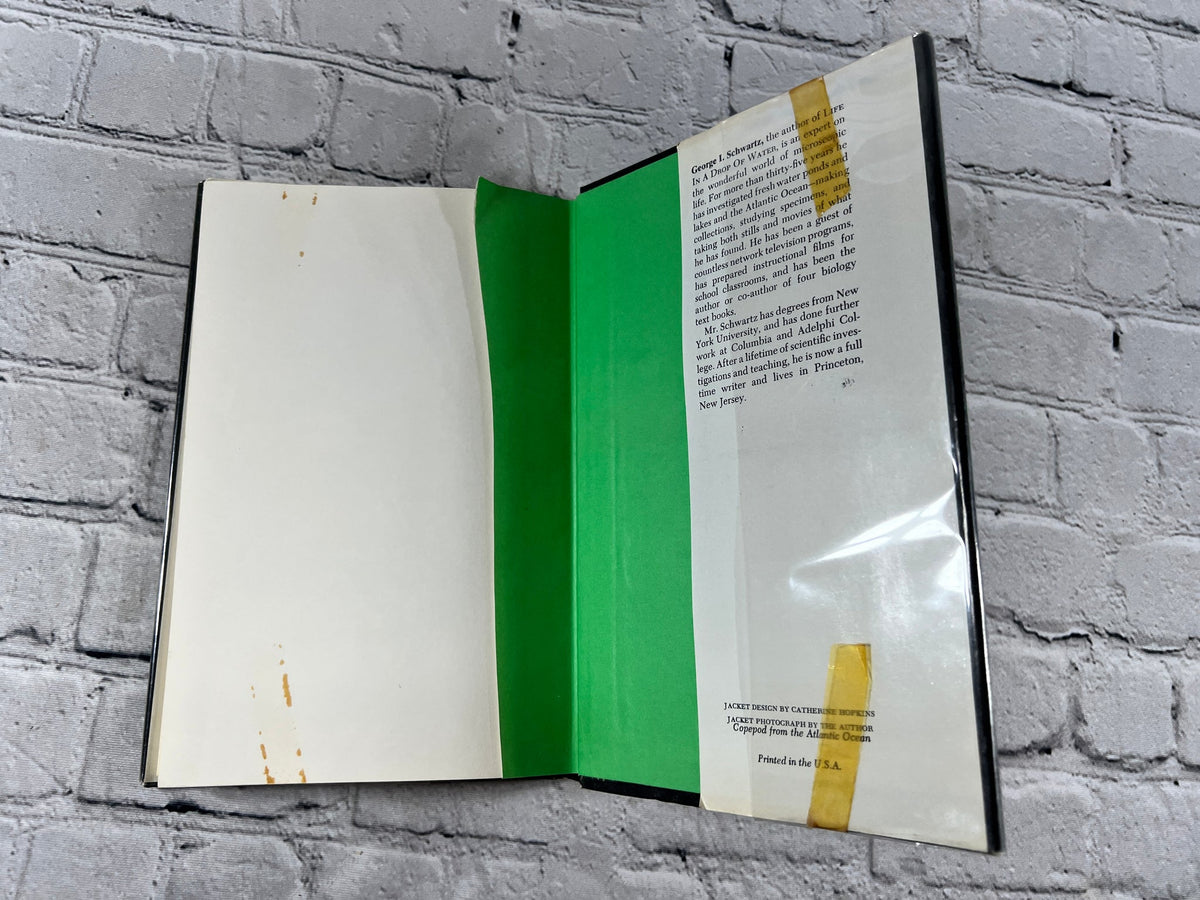 Life in a Drop of Water by George I. Schwartz, 1970 - rear endpapers