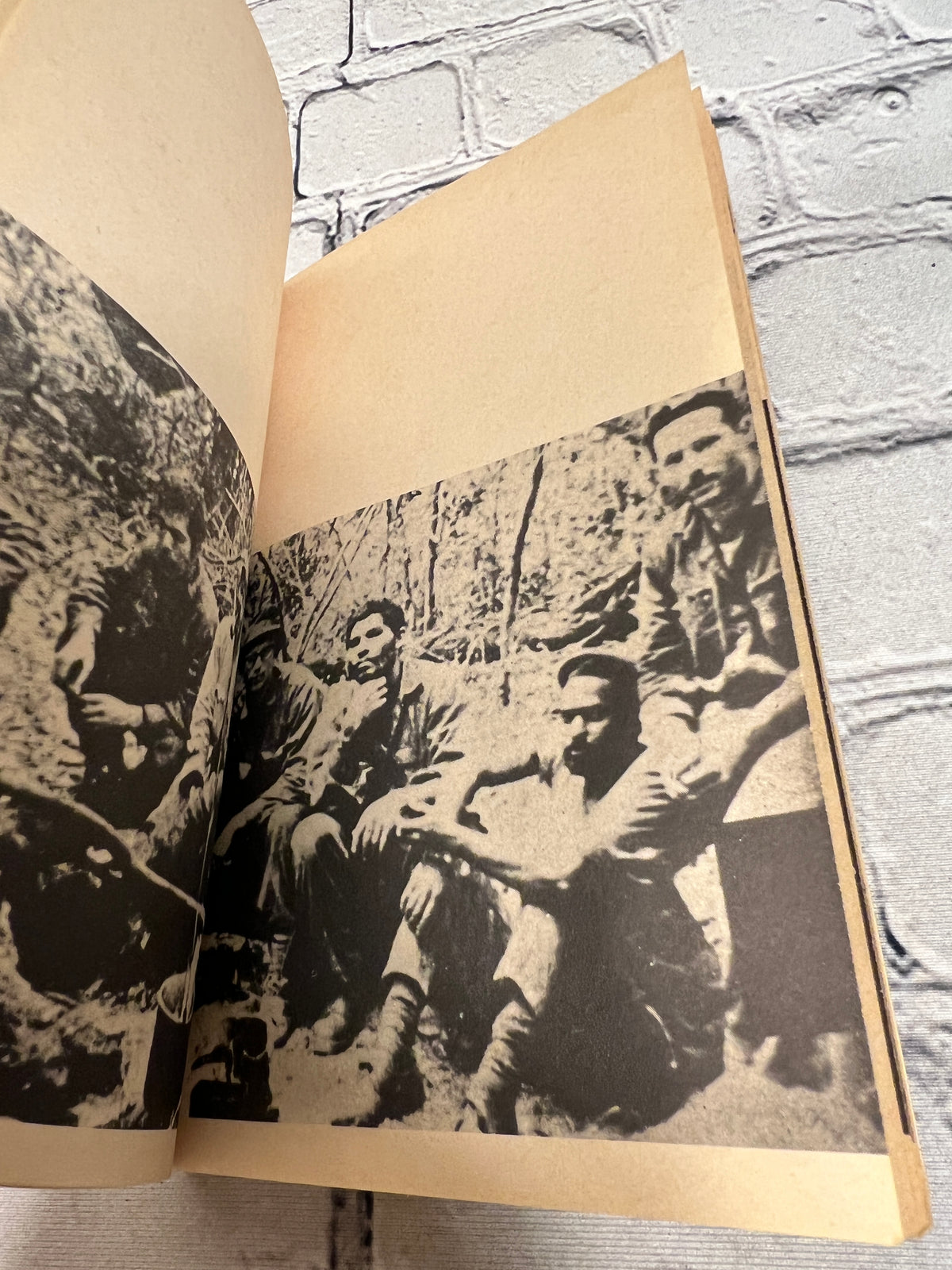 The Diary of Che Guevara: The Secret Papers of a Revolutionary