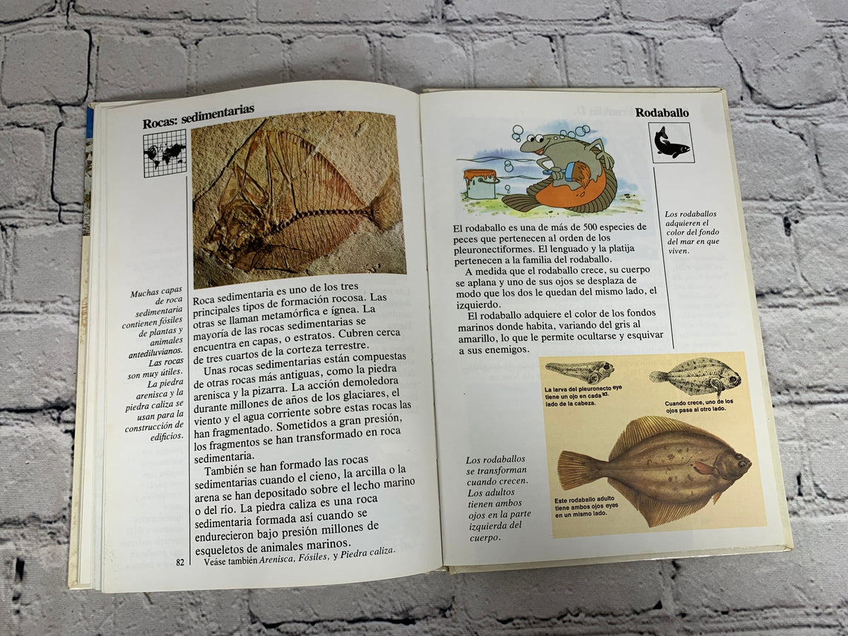 Disney Mi Primera Enciclopedia: Tomo 10 (Piel y pelo - Sáhara)
