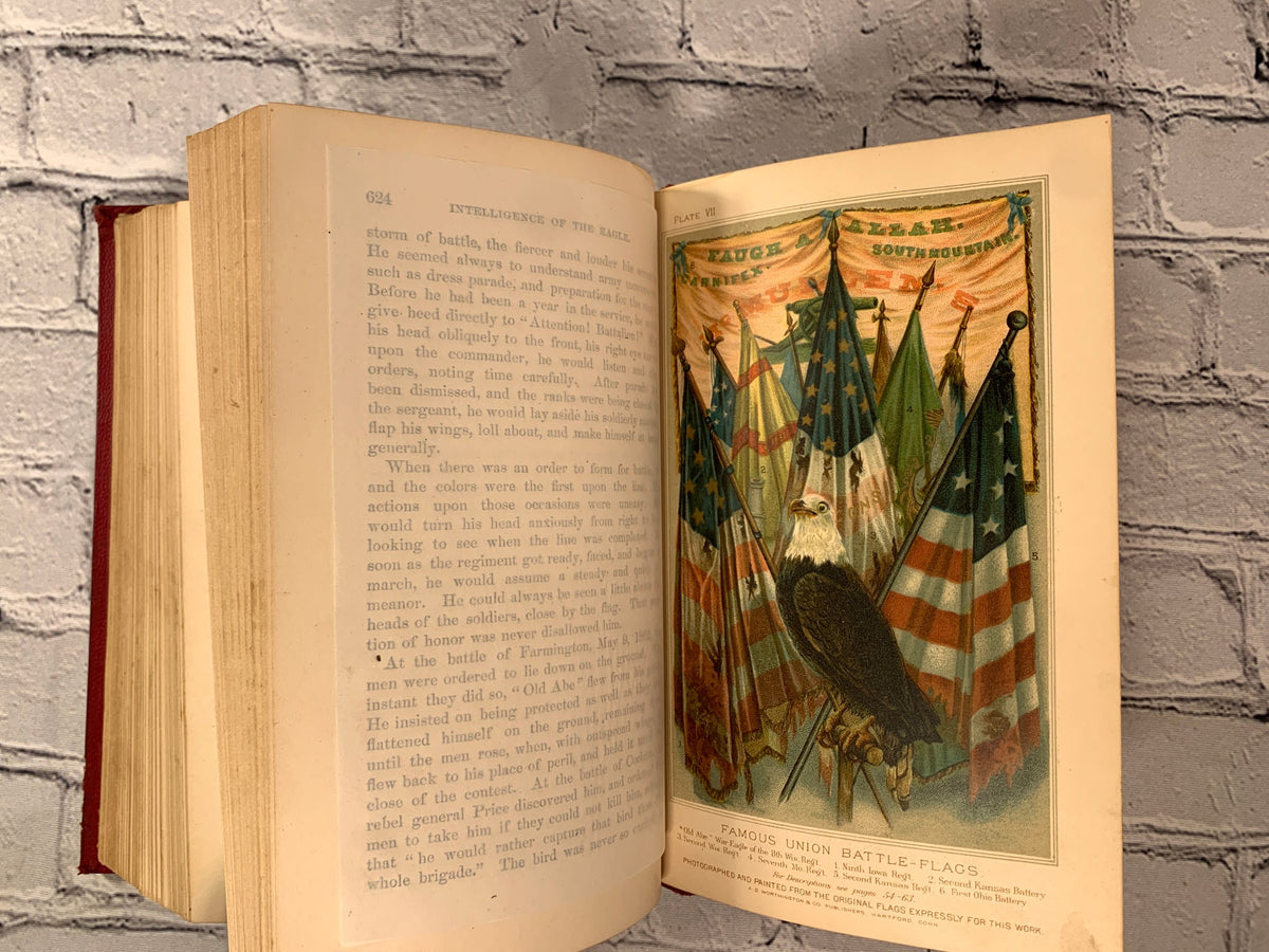 My Story of the War by Mary A. Livermore, 1890 A. D. Worthington hardcover - color flag plate