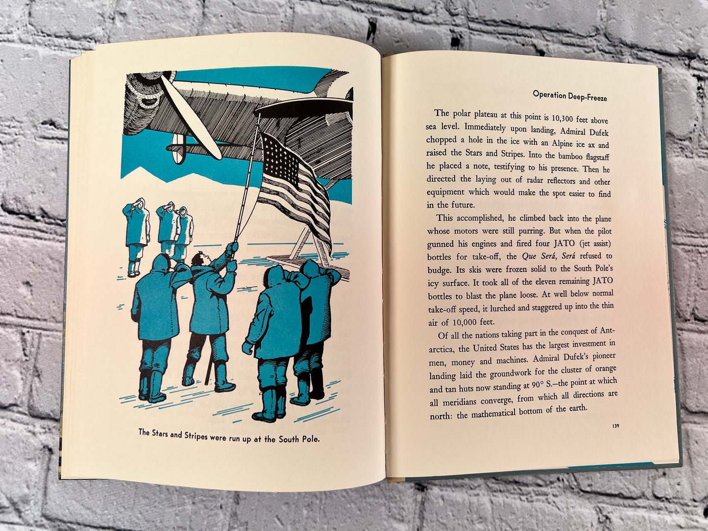 All About the Arctic and Antarctic (All About Books #20)