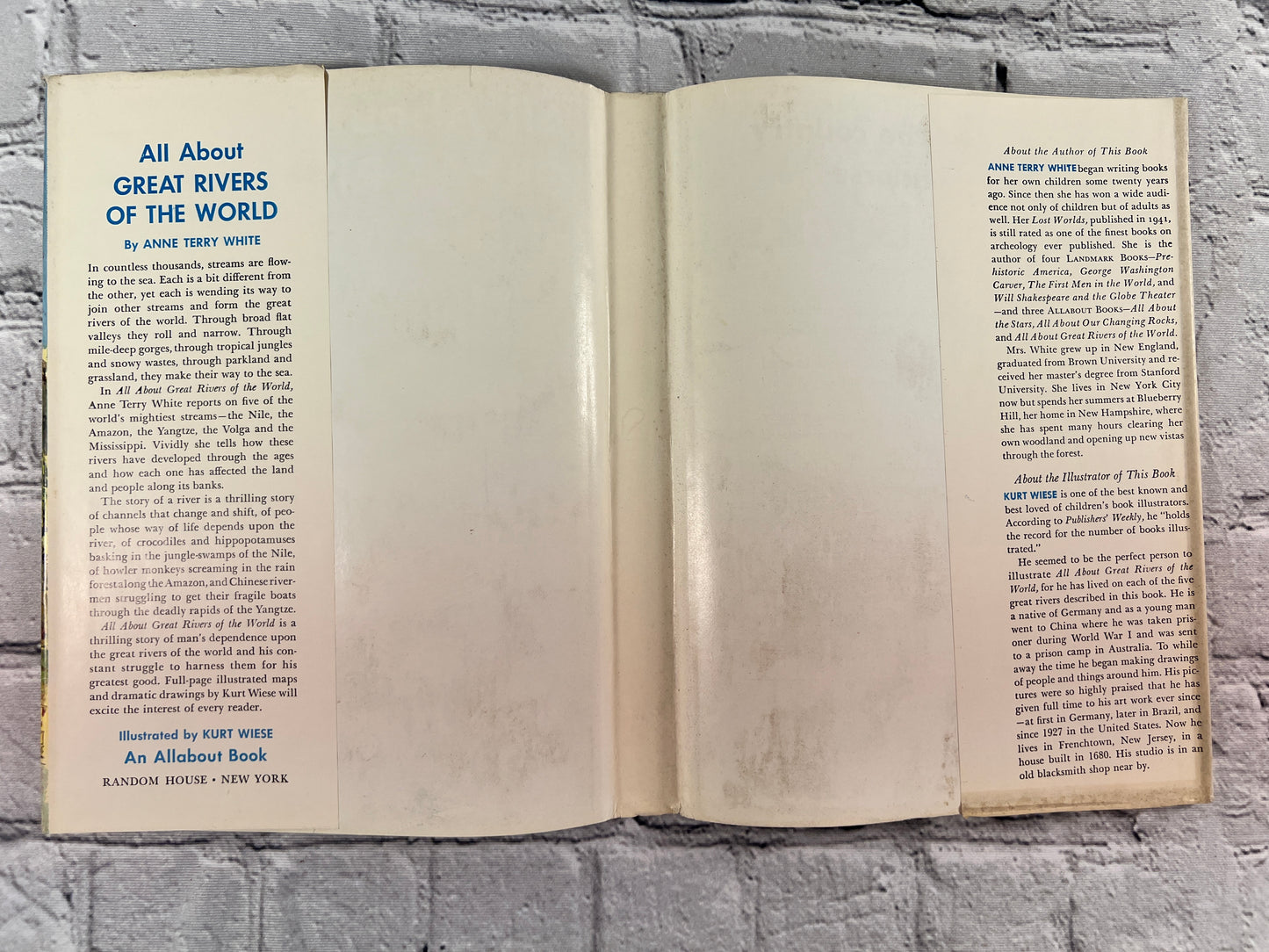 All About Great Rivers of the World (All About Books #22)