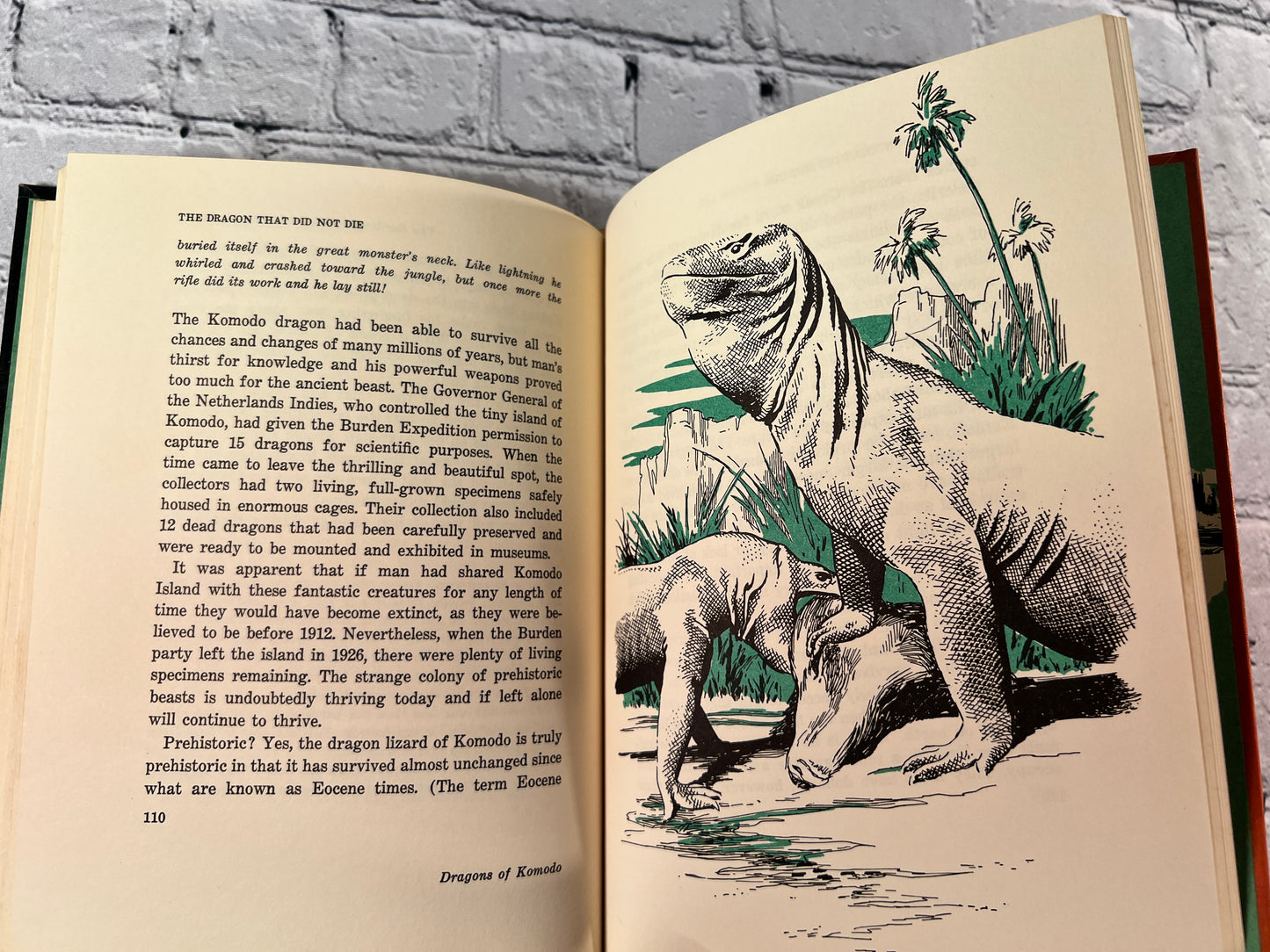 All About Famous Scientific Expeditions (All About Books #24)