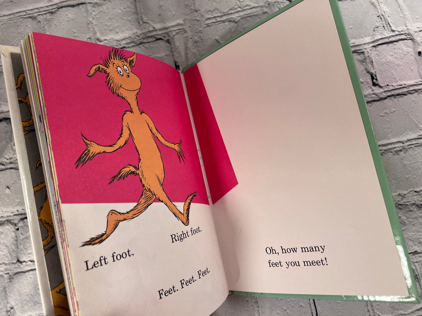 The Foot Book