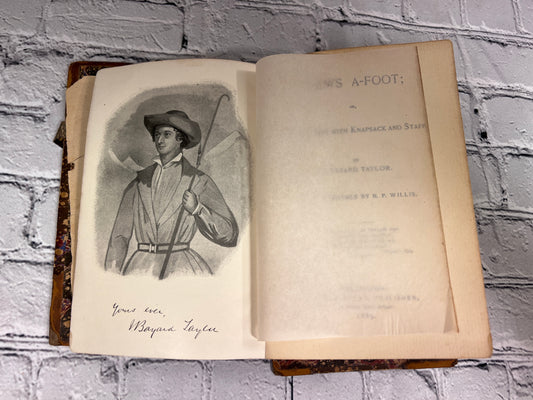 Views-A-Foot Europe Seen with Knapsack and Staff