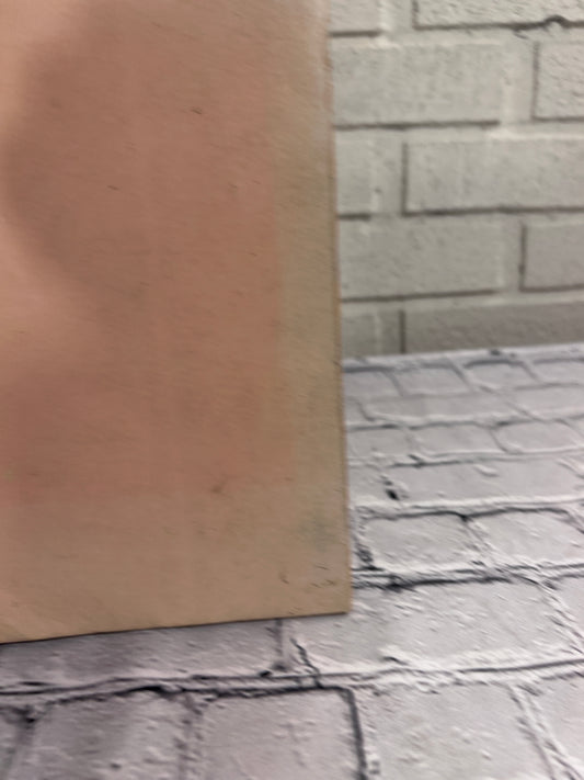 Redempotorist Aposolates in the Caribbean of the Nineteenth Century by R. P. Juan Gauci