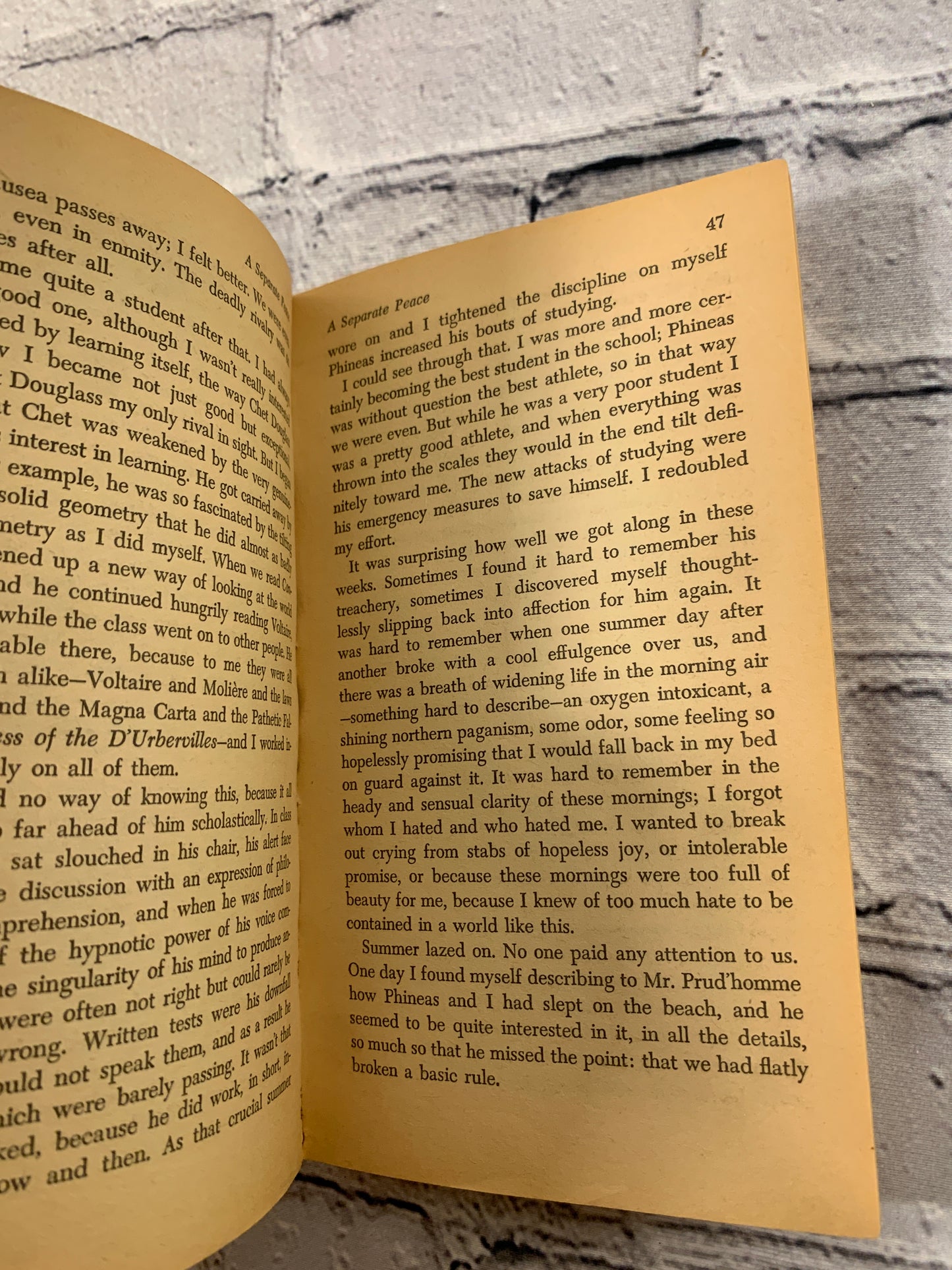 A Separate Peace