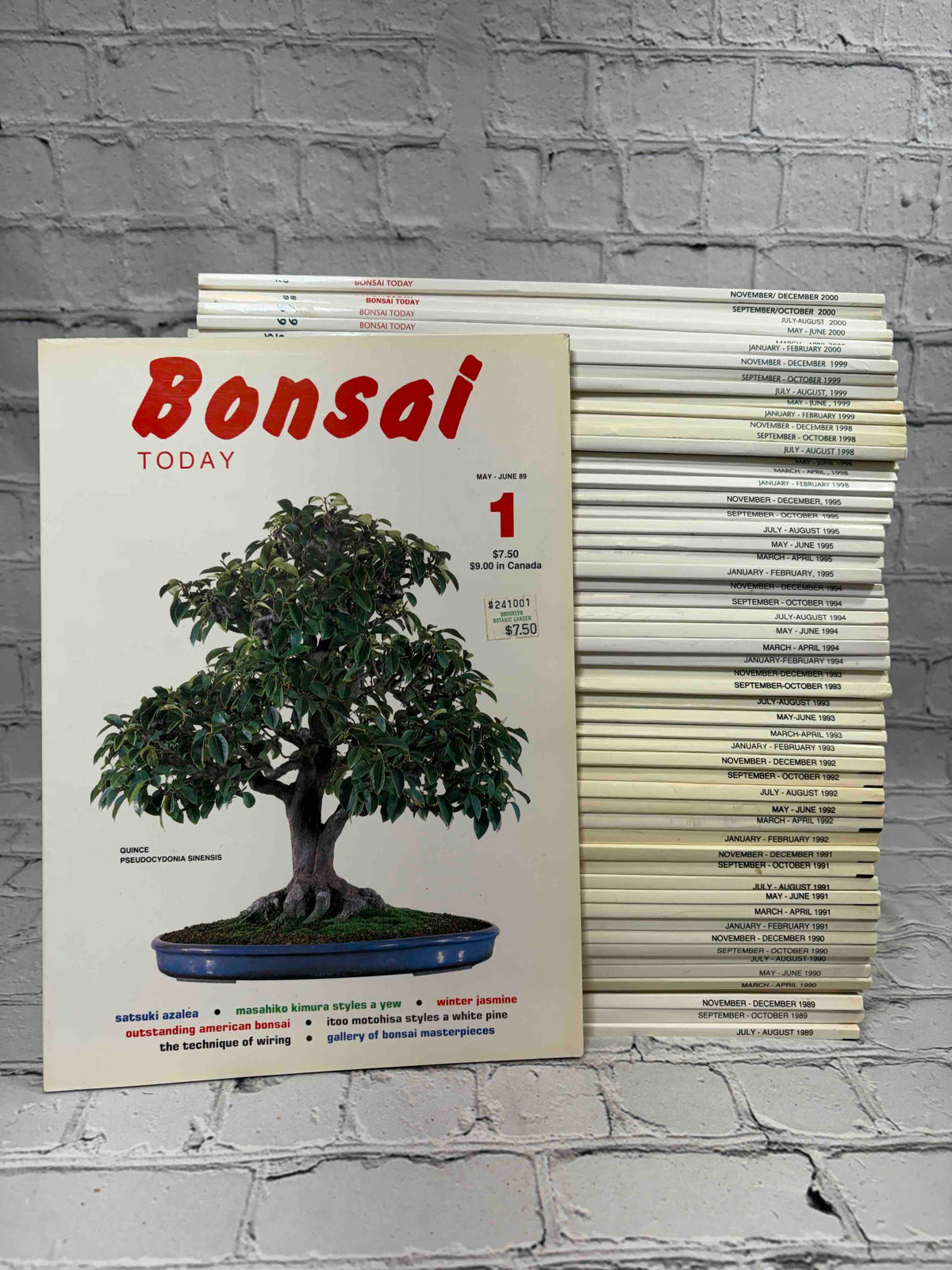 Bonsai Today magazine lot of 57 issues, 1989-2000 - issue #1 front cover in front of the stack