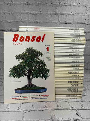 Bonsai Today Magazine Lot of 57 Issues (1989-2000) incl. Issue #1