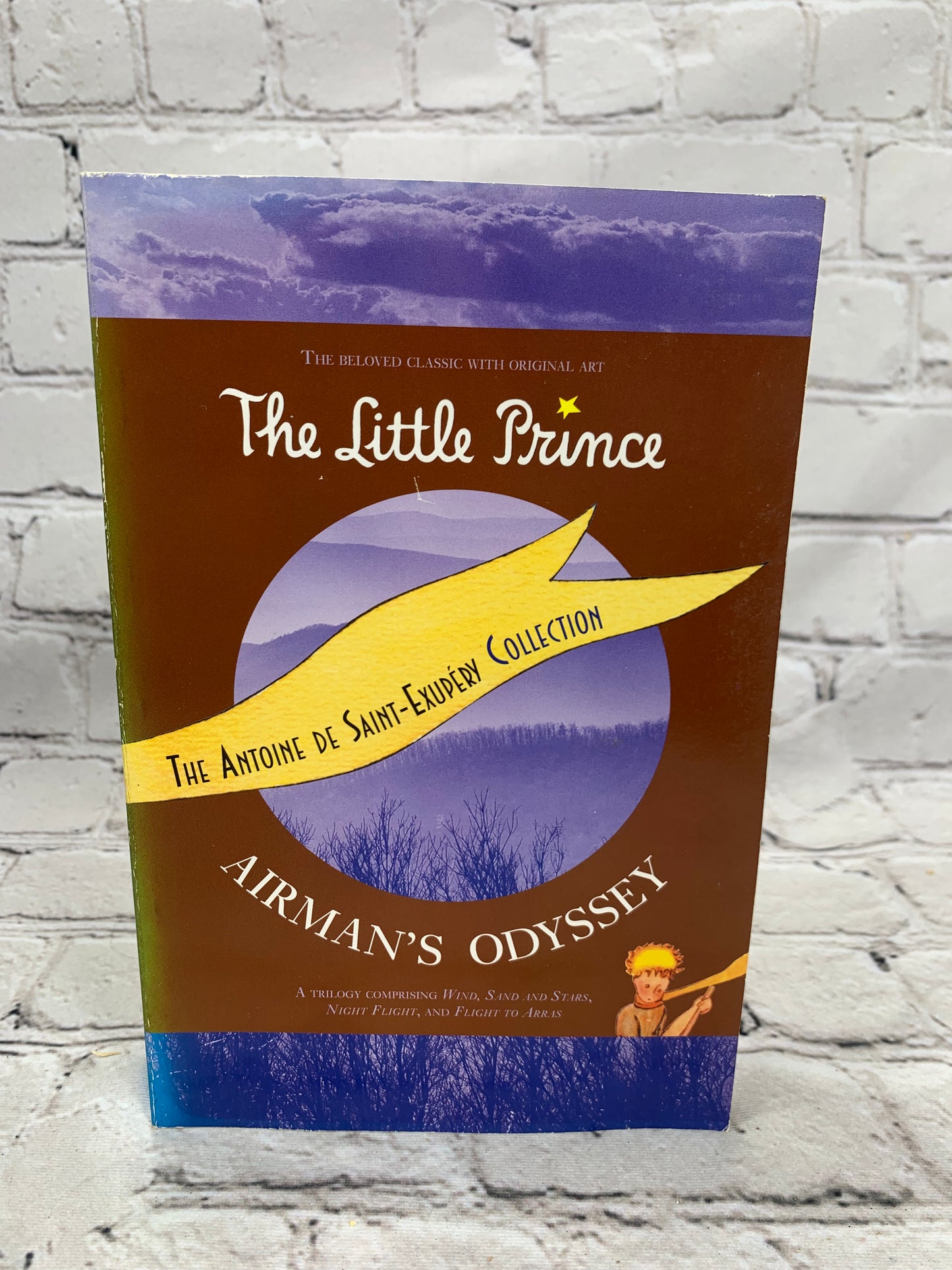 The Little Prince Airman's Odyssey [Antoine De Saint-Exupery Collection [2007]