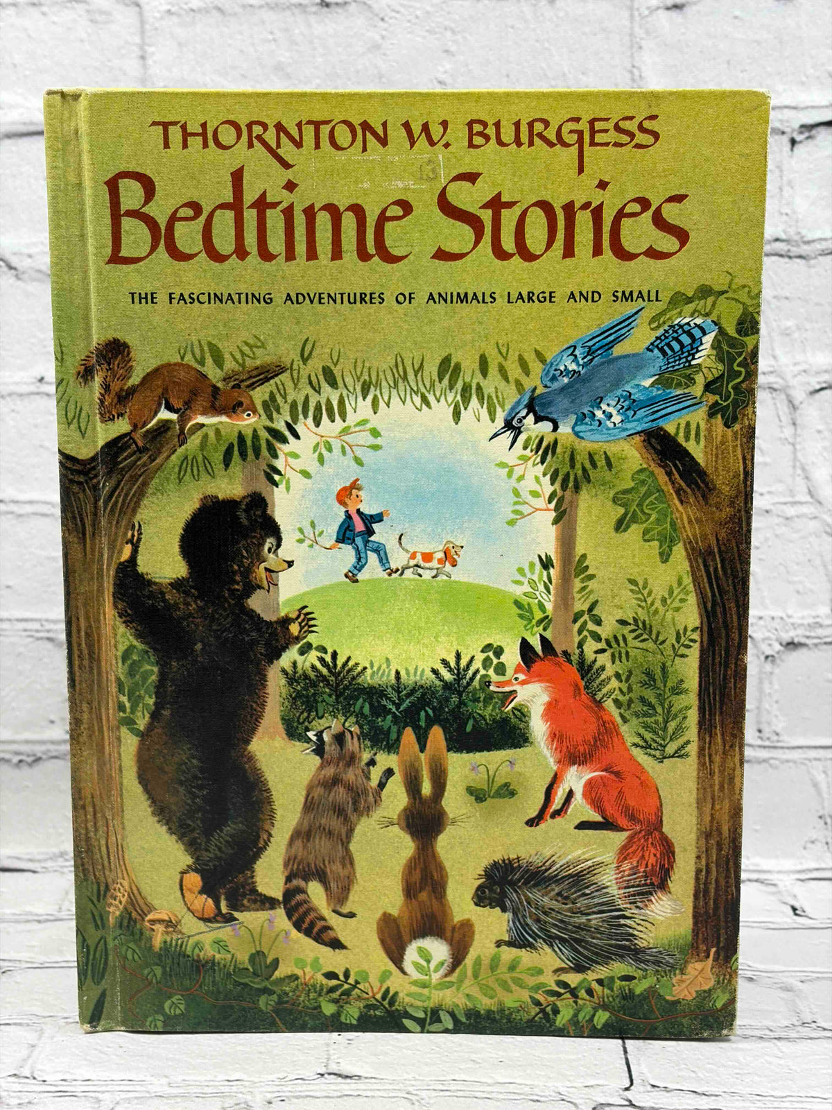 Bedtime Stories