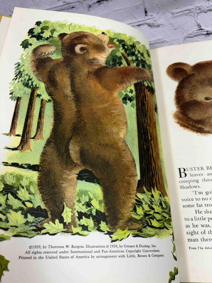 Bedtime Stories