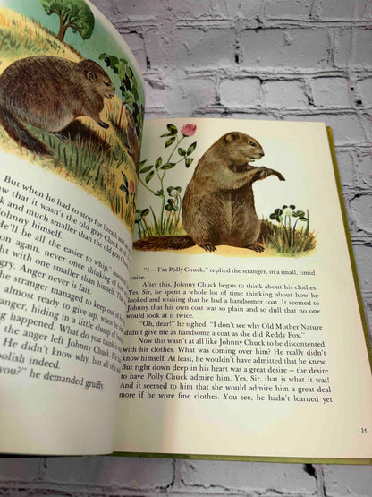 Bedtime Stories