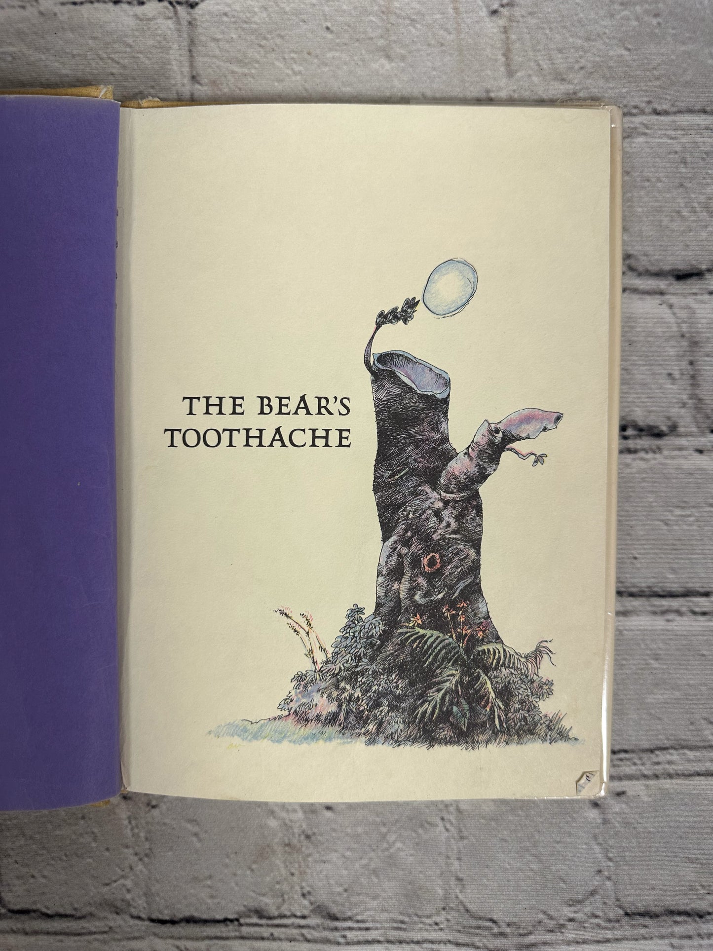 The Bear's Toothache by David McPhail [1972]