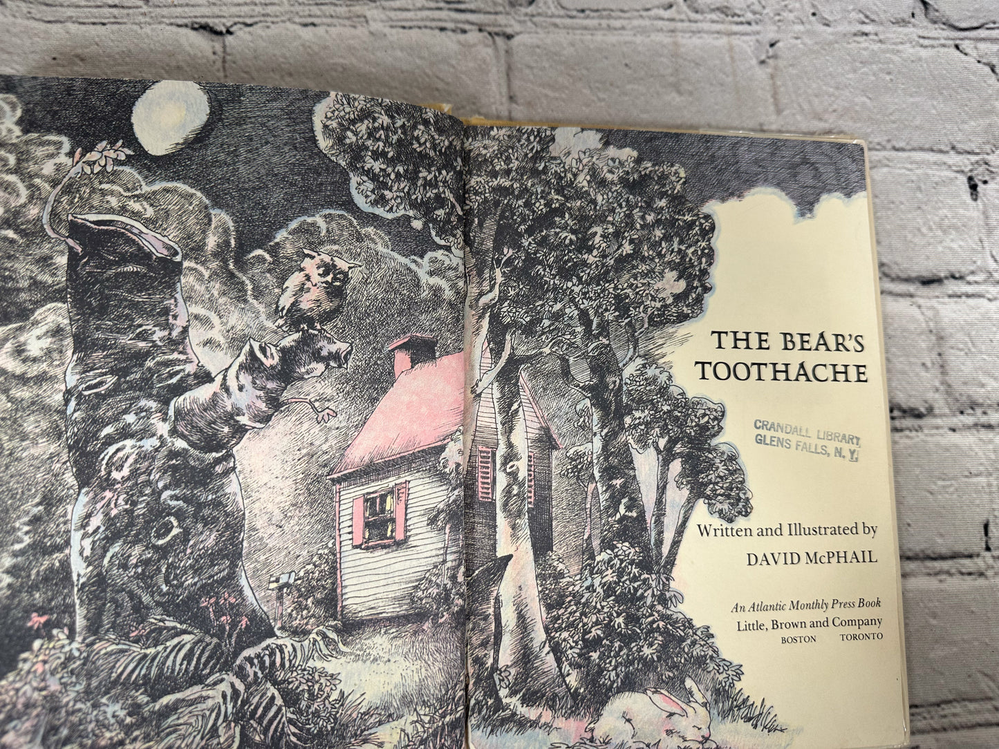 The Bear's Toothache by David McPhail [1972]