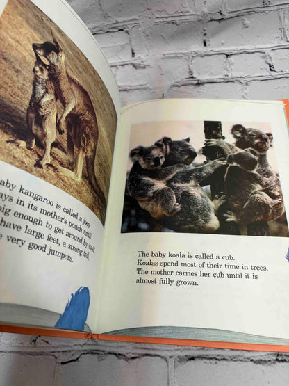 Grover's Book of Cute Little Baby Animals: Featuring Jim Henson's Sesame Street Muppets