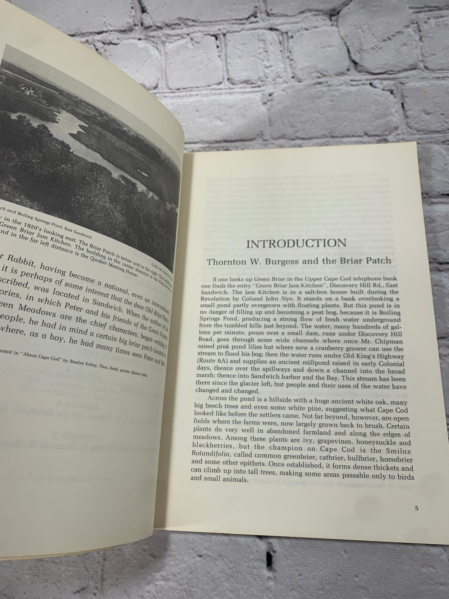 The Cape Cod Story of Thornton W. Burgess Russell A Lovell Jr. [2nd Print · 1979]