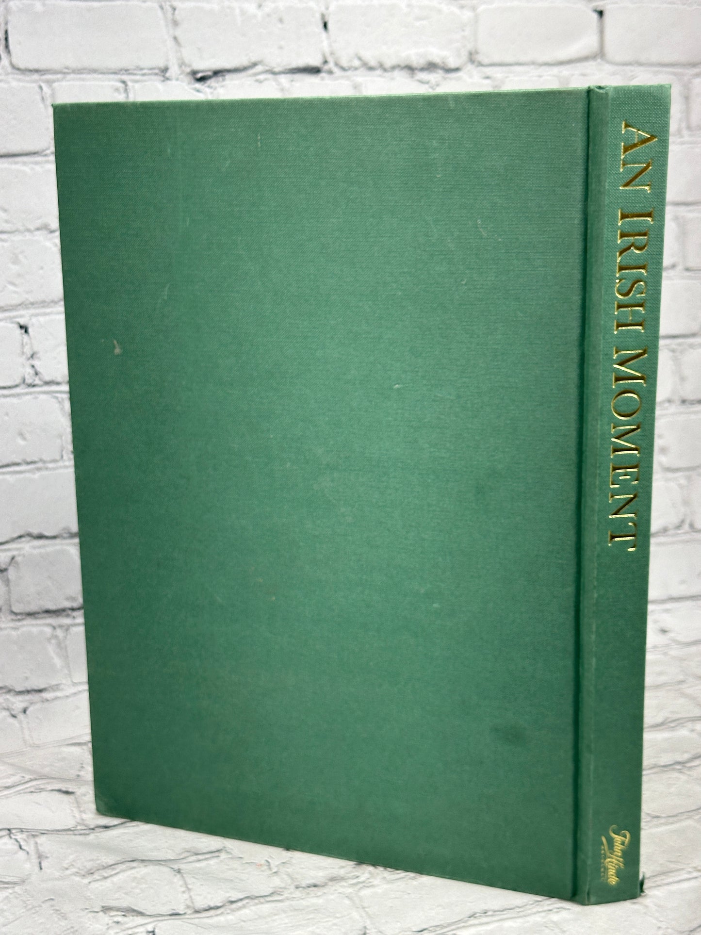 An Irish Moment by Terence J. Sheehy [1995]