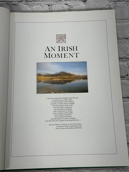 An Irish Moment by Terence J. Sheehy [1995]