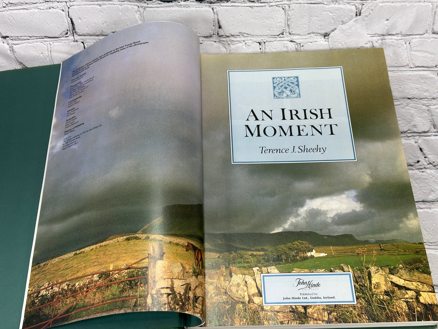 An Irish Moment by Terence J. Sheehy [1995]