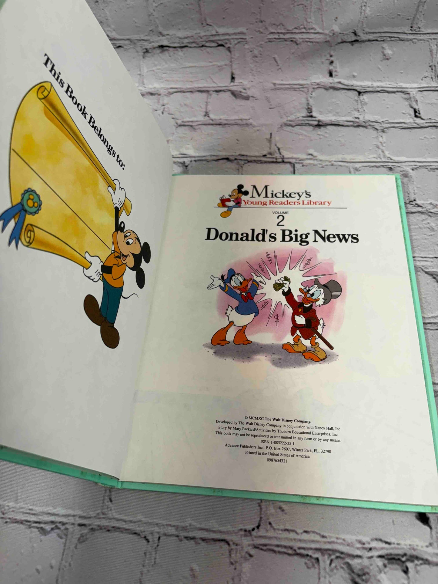 Donald's Big News Volume 2 (Mickey's Young Readers Library)