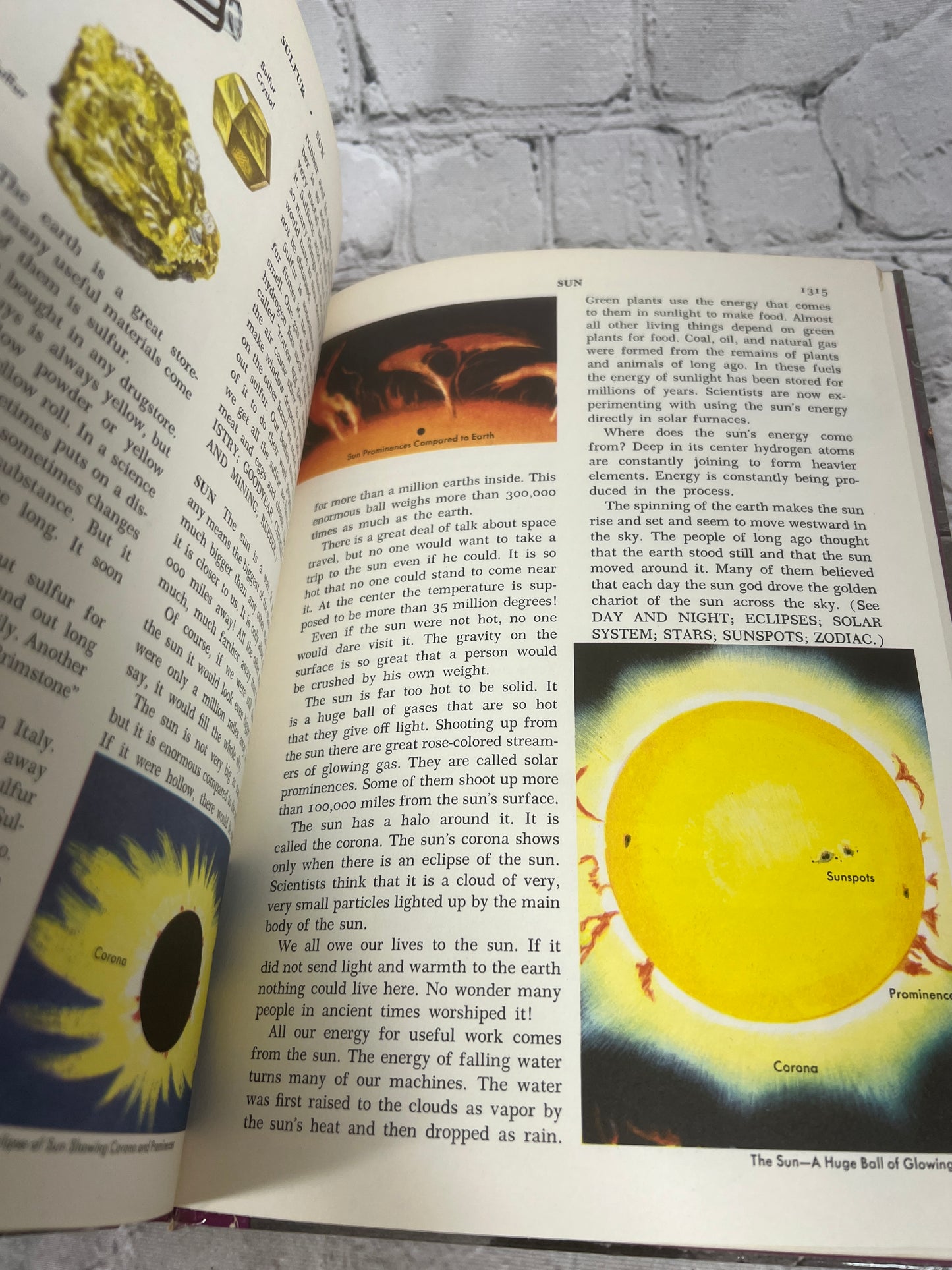 The Golden Book Encyclopedia Book 14 by Bertha Parker [Simon & Schuster · 1959]