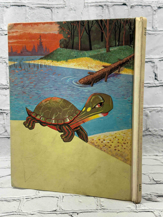 The Turtle Who Wanted to Run