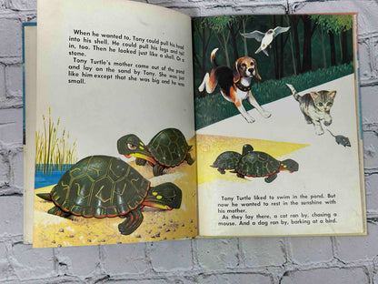 The Turtle Who Wanted to Run