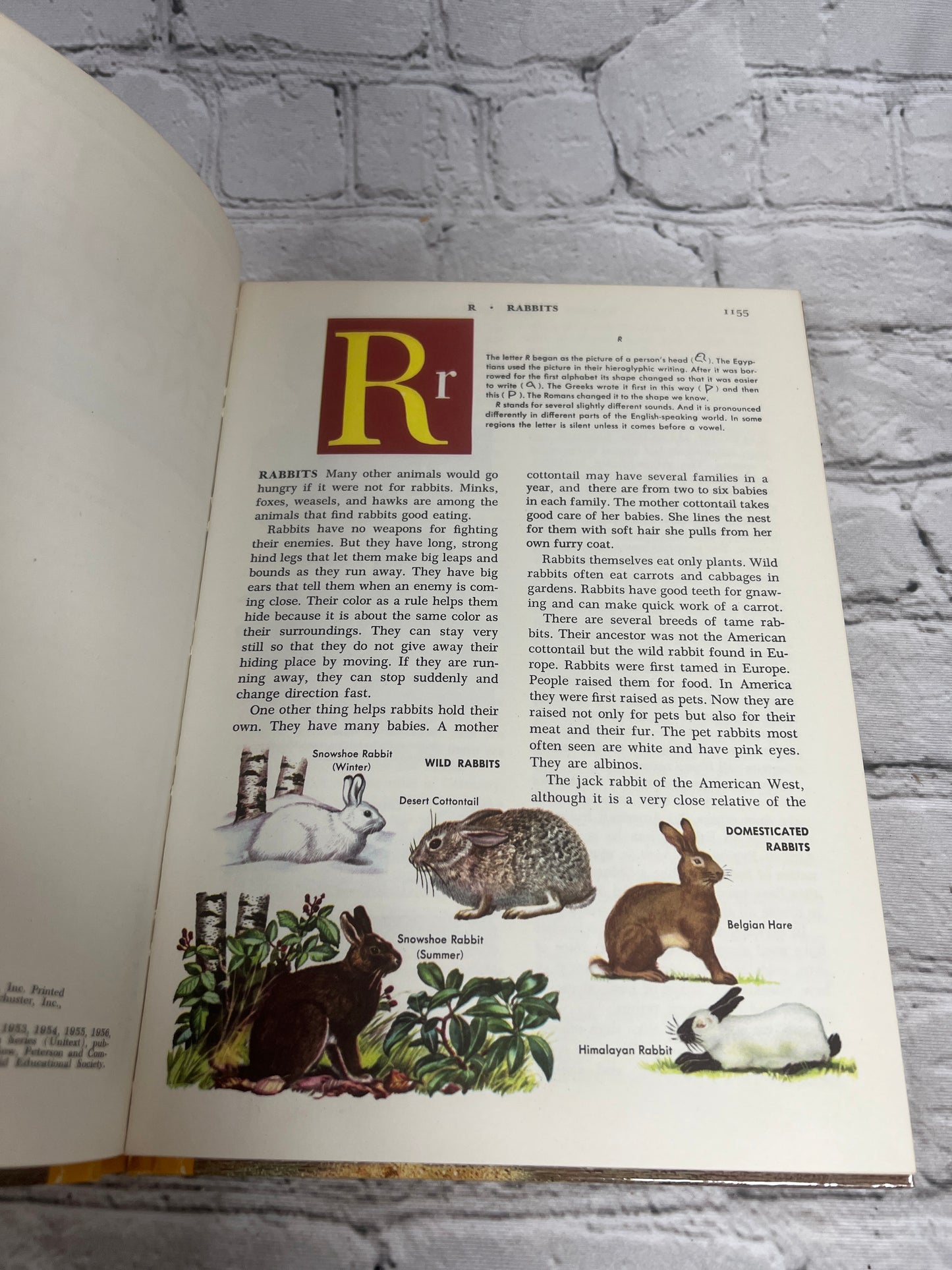 The Golden Book Encyclopedia Book 13 by Bertha Parker [Simon & Schuster · 1959]