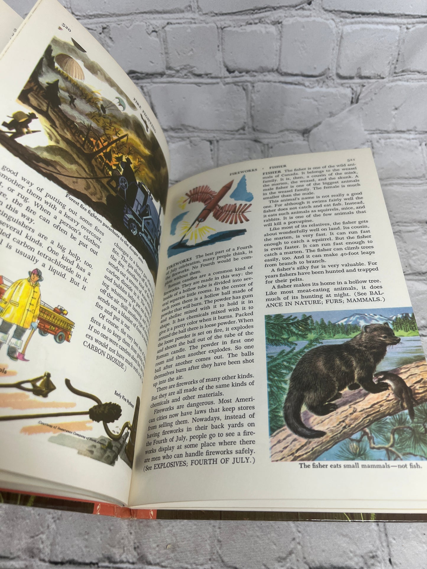 The Golden Book Encyclopedia Book 6 by Bertha Parker [Simon & Schuster · 1959]