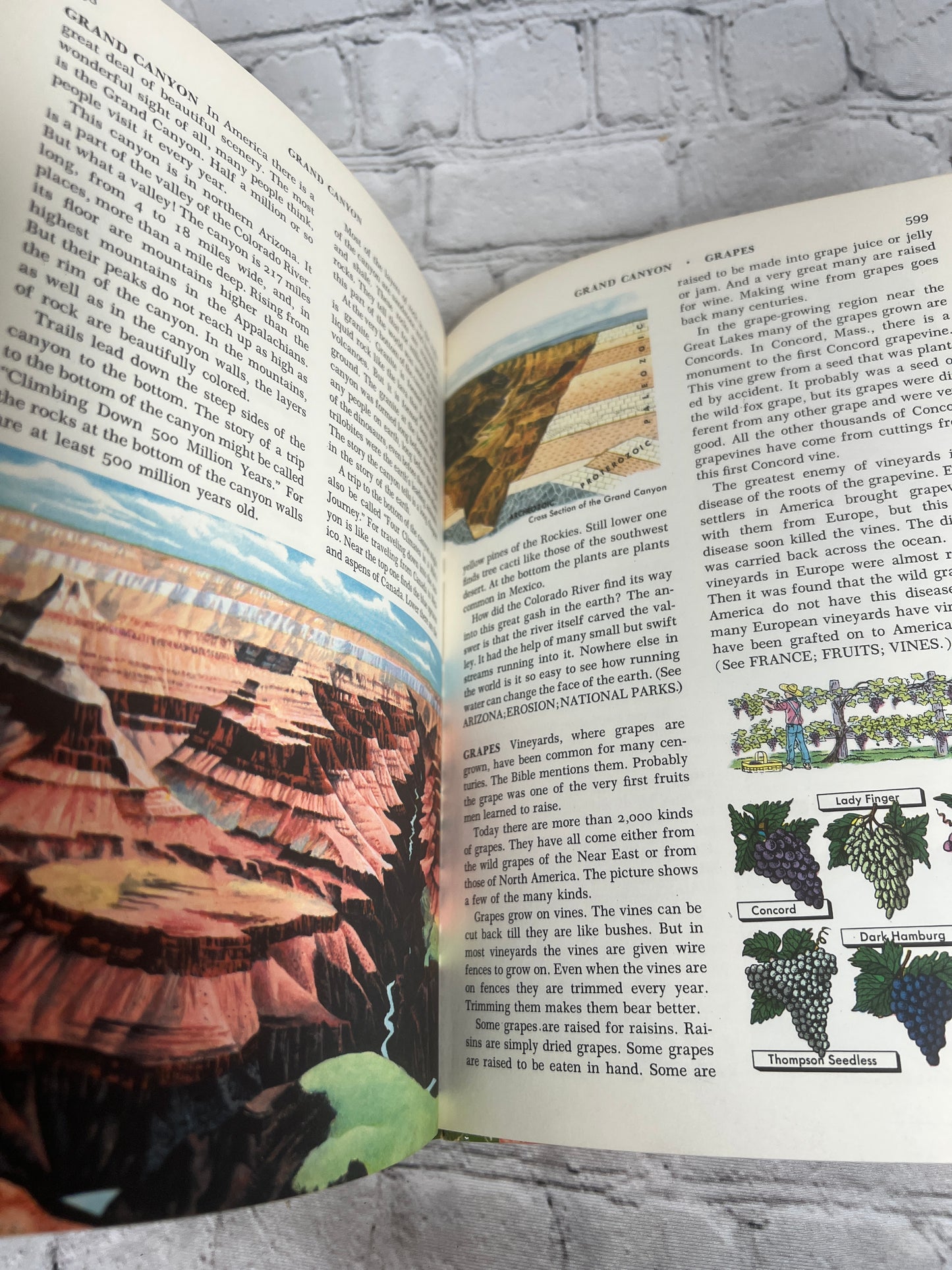 The Golden Book Encyclopedia Book 7 by Bertha Parker [Simon & Schuster · 1959]