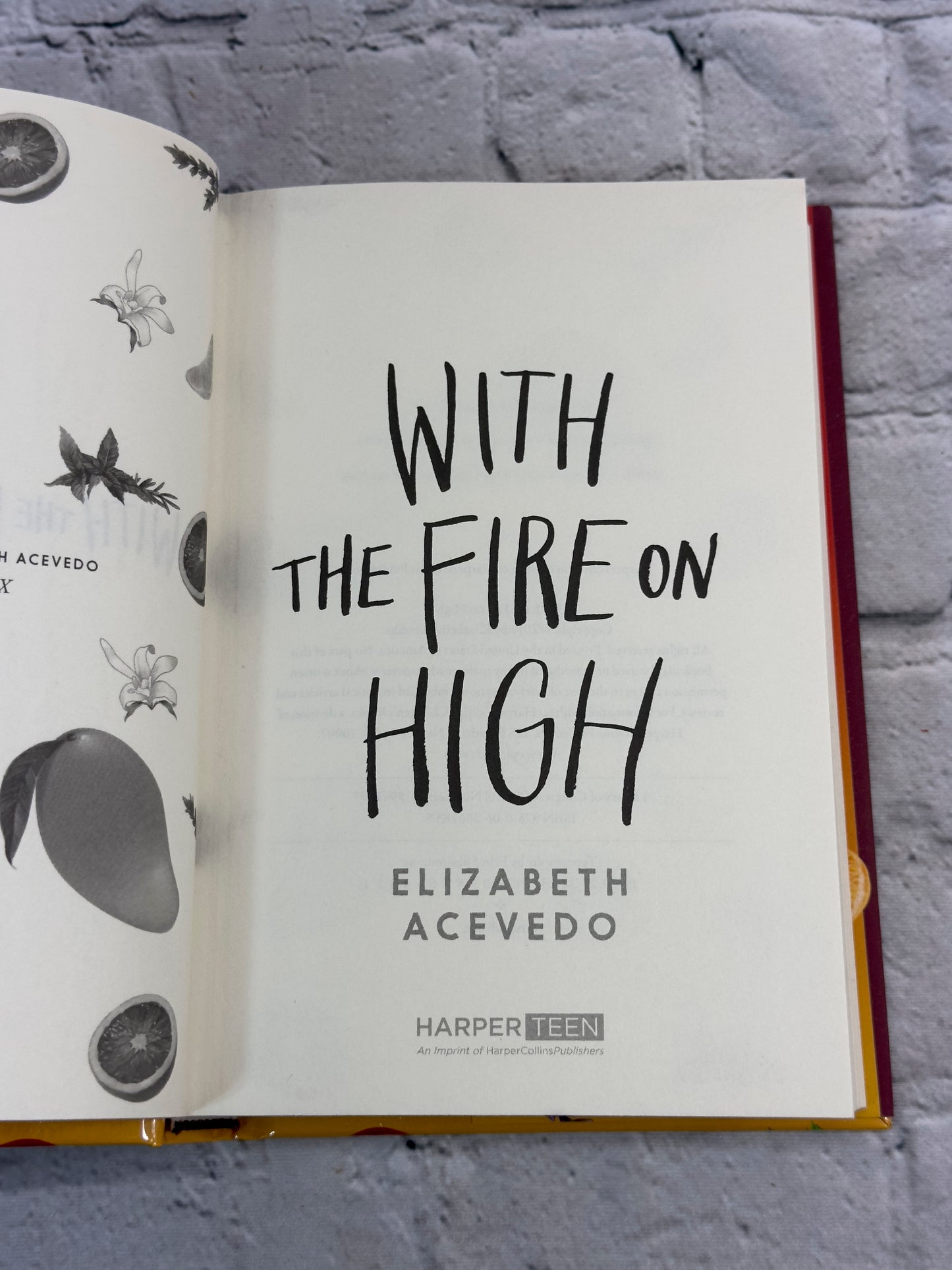 With the Fire on High by Elizabeth Acevedo [2019 · First Edition]