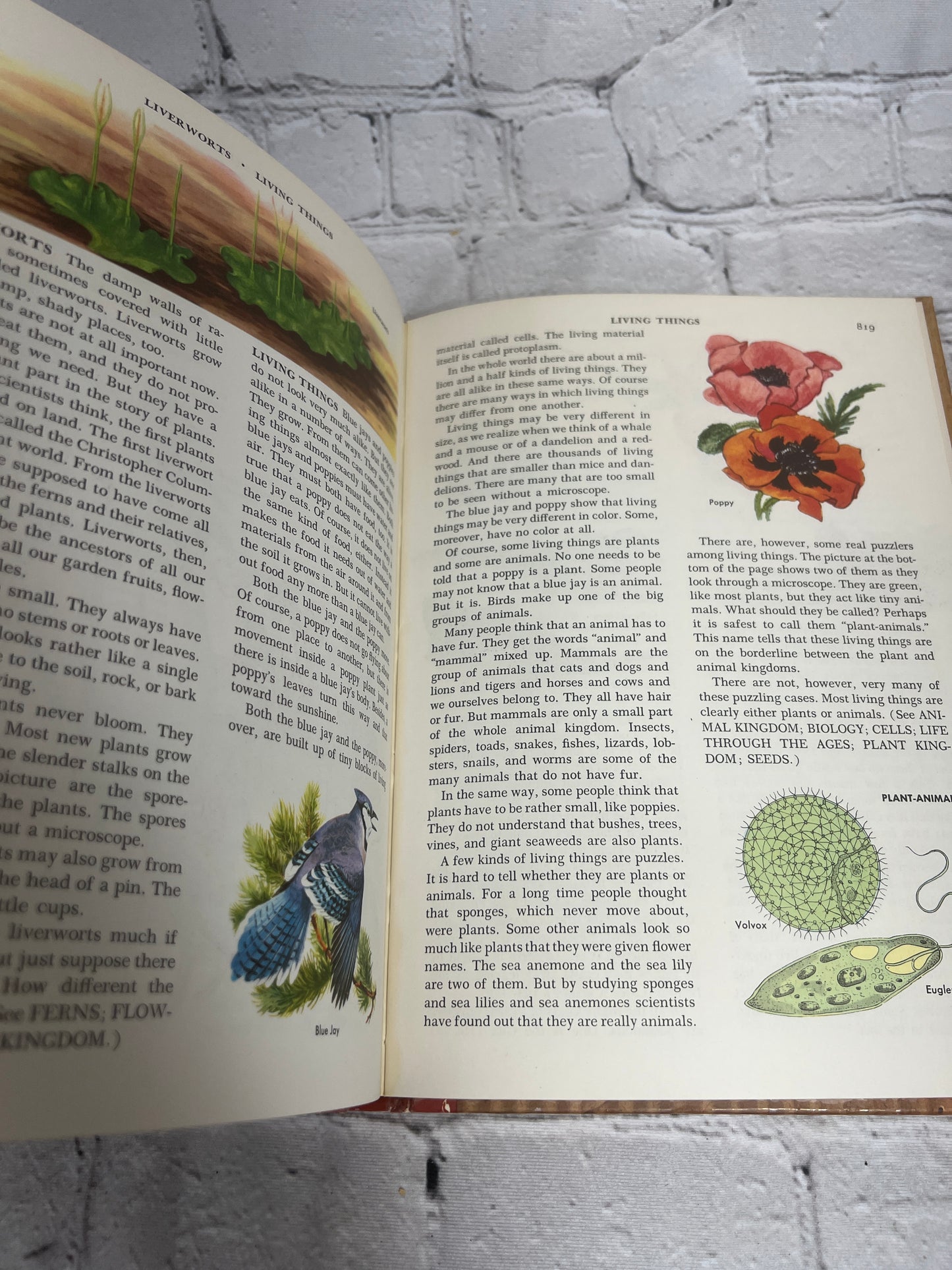 The Golden Book Encyclopedia Book 9 by Bertha Parker [Simon & Schuster · 1959]