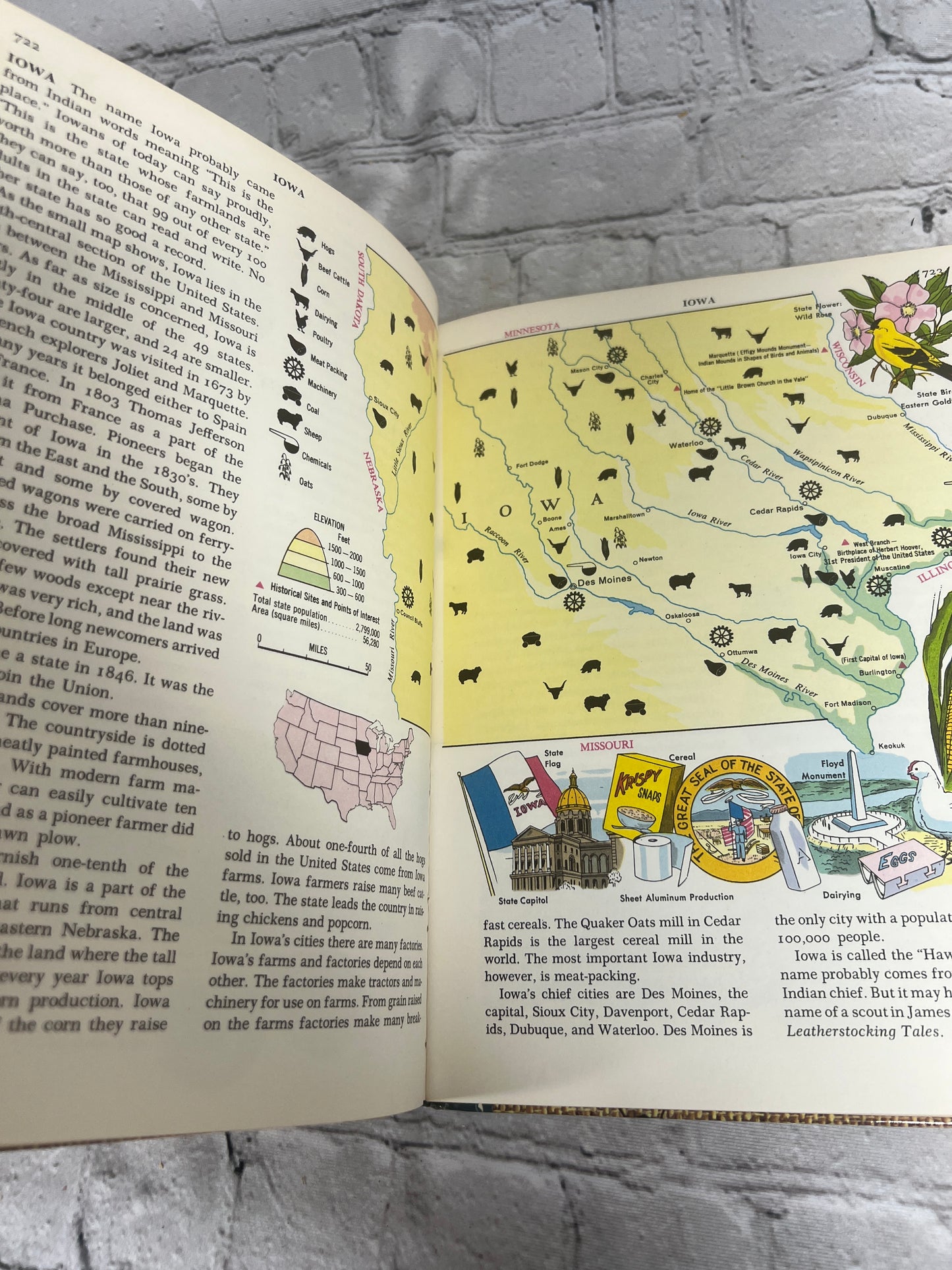 The Golden Book Encyclopedia Book 8 by Bertha Parker [Simon & Schuster · 1959]