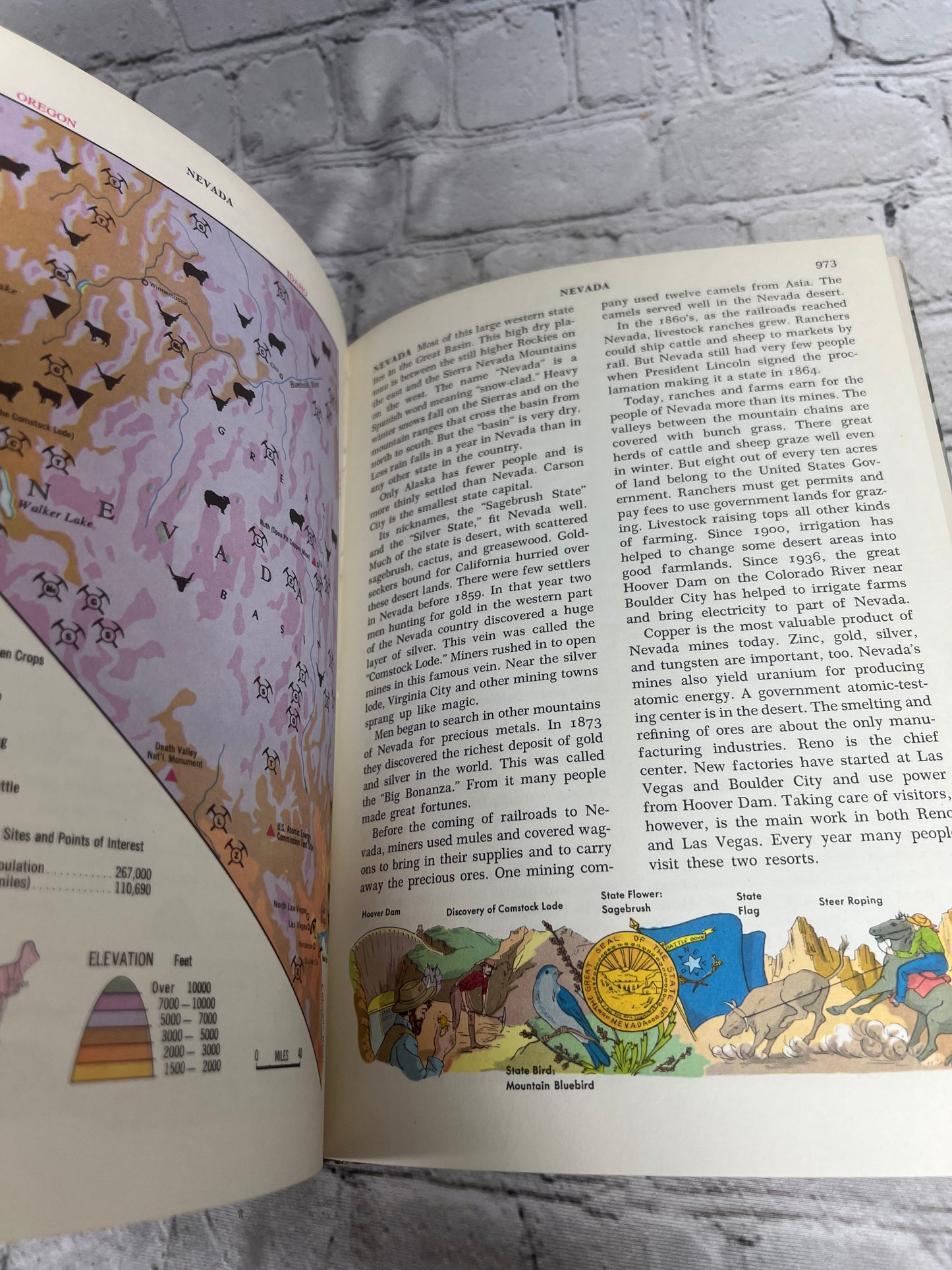 The Golden Book Encyclopedia Book 11 by Bertha Parker [Simon & Schuster · 1959]