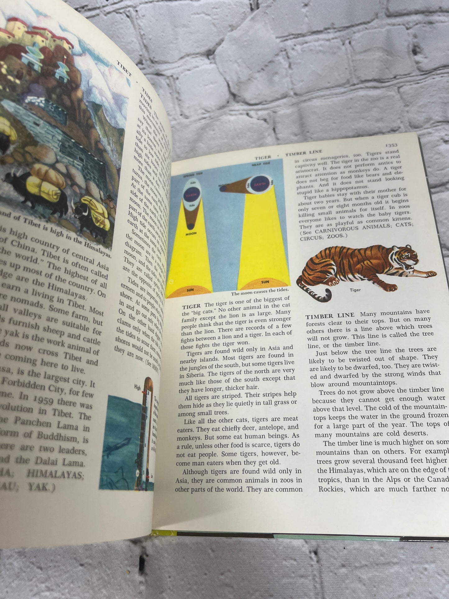 The Golden Book Encyclopedia Book 15 by Bertha Parker [Simon & Schuster · 1959]