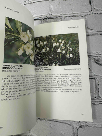 Mount Revelstoke National Park Wild Flowers (Edible Wild Plants of Canada Series)