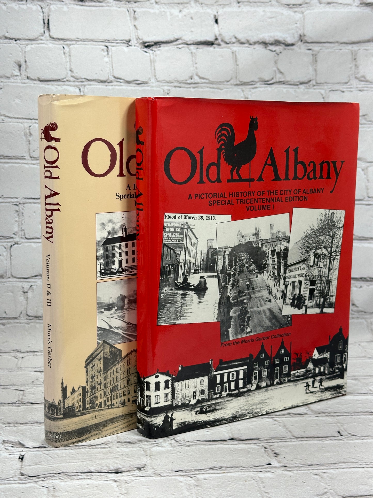 Old Albany: A Pictorial History [Tricentennial Edition · 3 Volumes in 2 books]