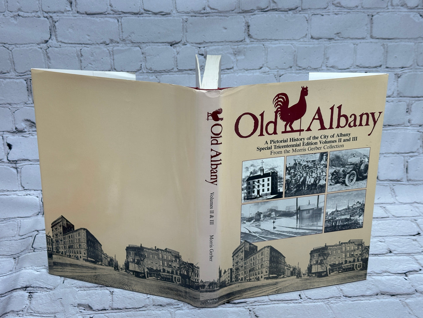 Old Albany: A Pictorial History [Tricentennial Edition · 3 Volumes in 2 books]