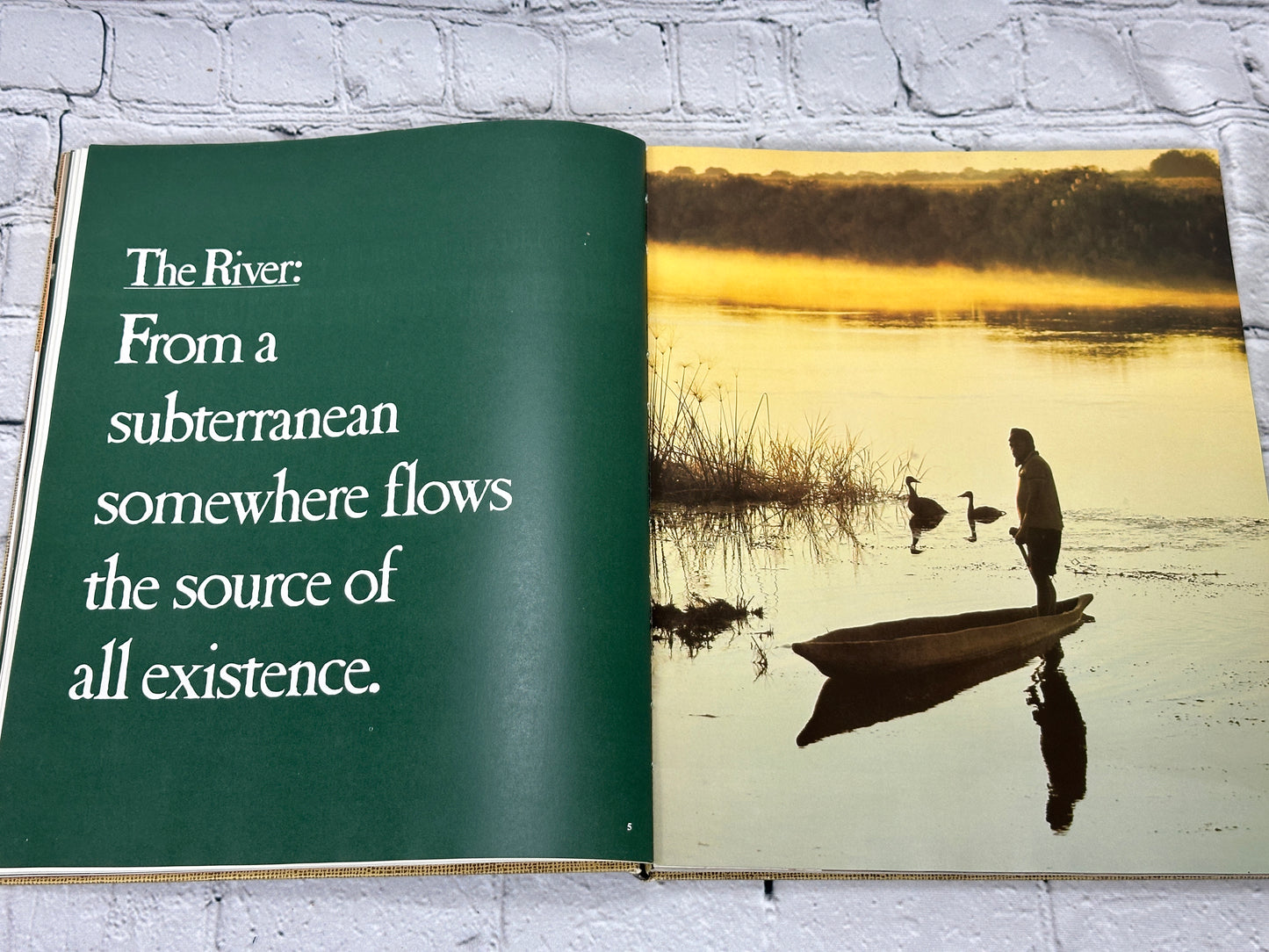Okavango Sea of Land Land of Water By Johnson & Bannister [1st Ed · 1977]