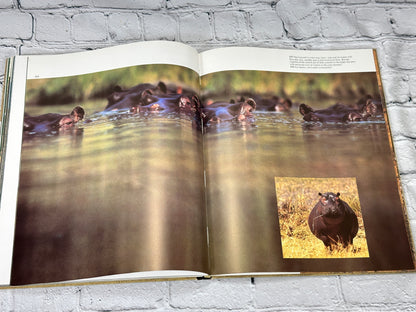 Okavango Sea of Land Land of Water By Johnson & Bannister [1st Ed · 1977]