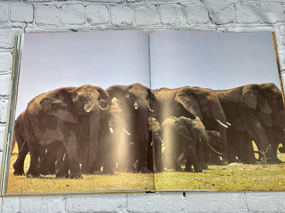 Okavango Sea of Land Land of Water By Johnson & Bannister [1st Ed · 1977]