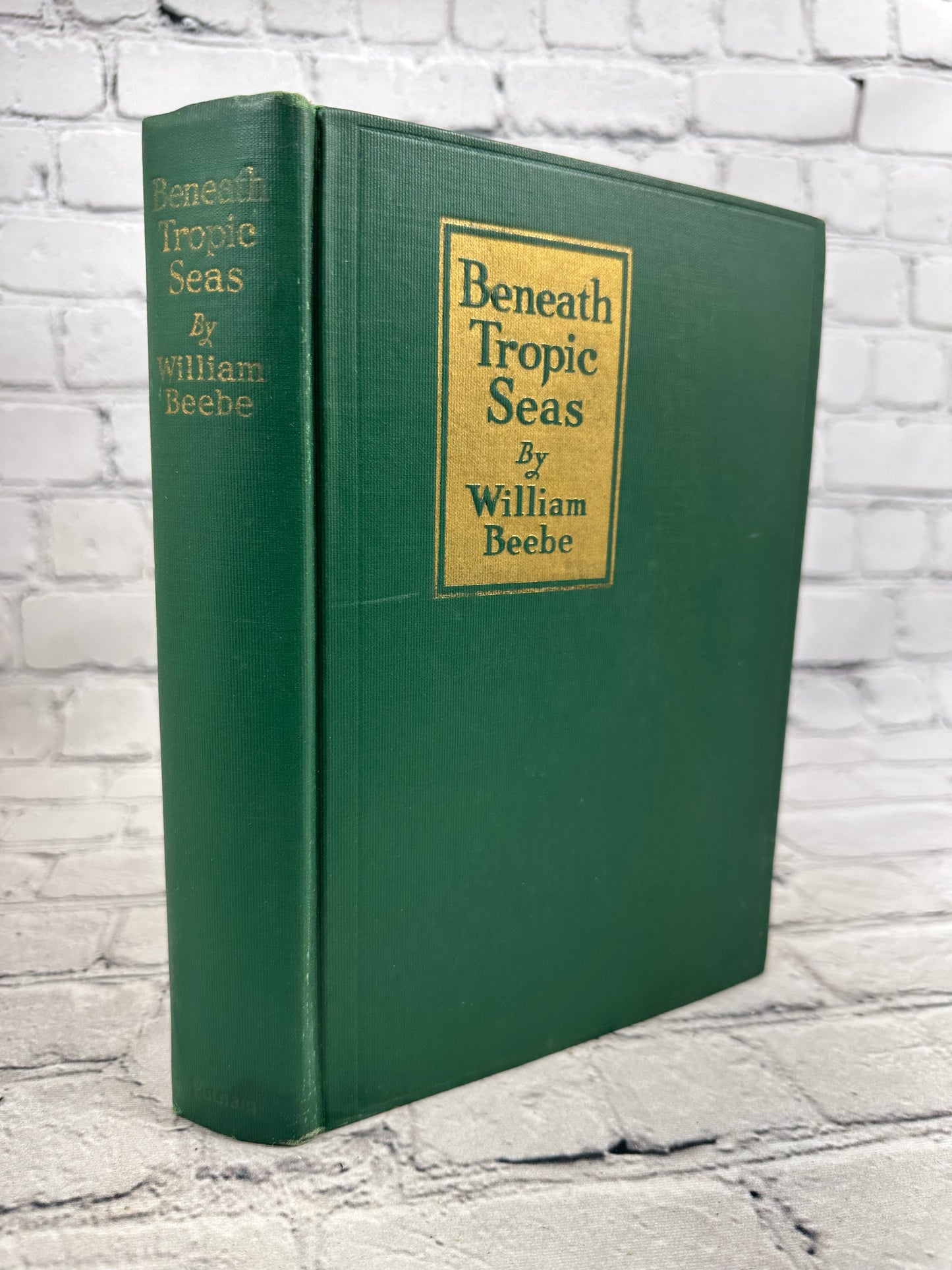 Beneath Tropic Seas by William Beebe [1928 · First Edition]