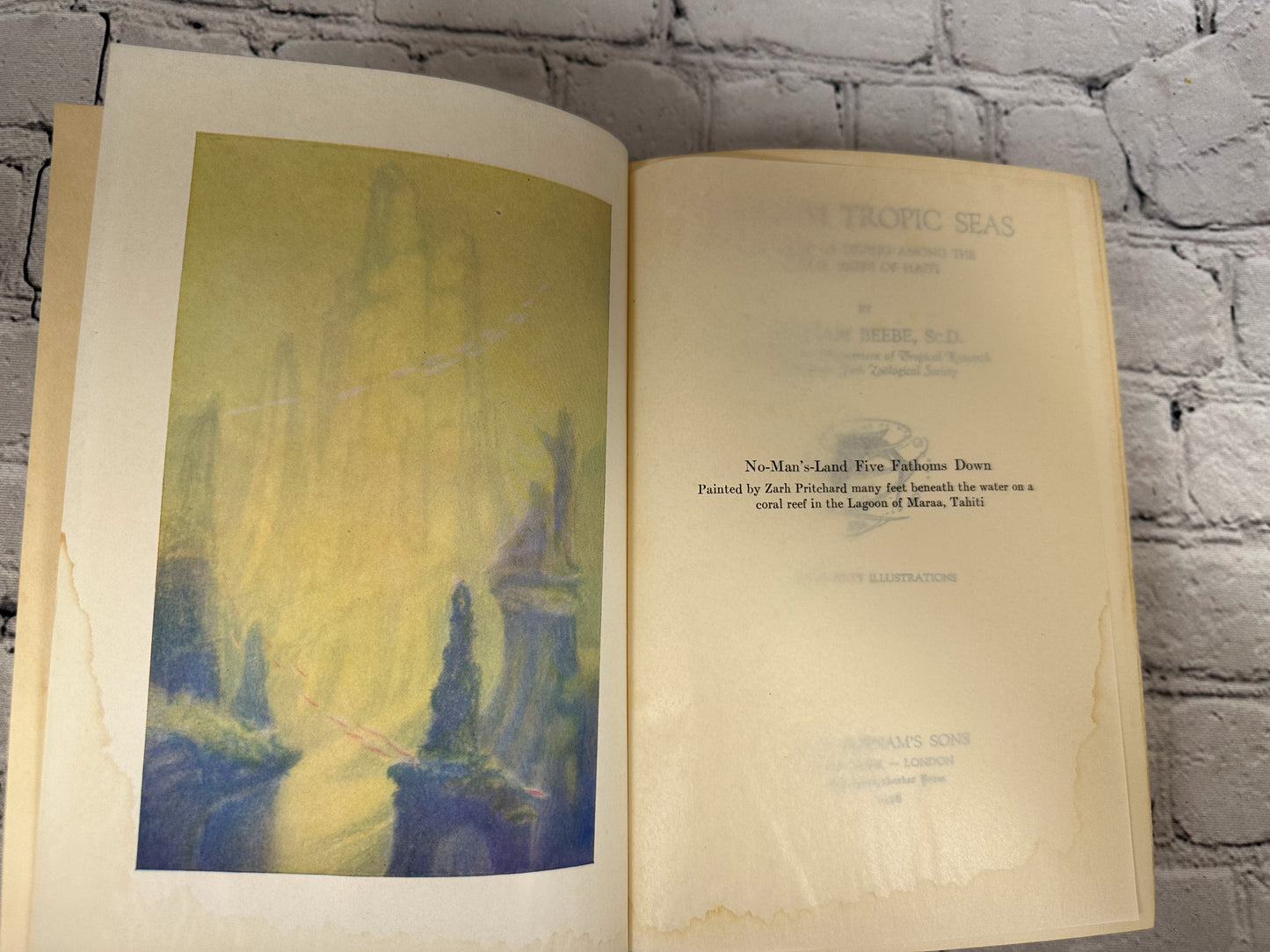 Beneath Tropic Seas by William Beebe [1928 · First Edition]