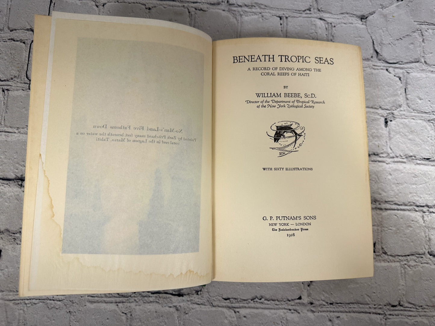 Beneath Tropic Seas by William Beebe [1928 · First Edition]